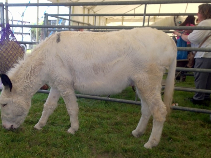 WP 20160508 11 46 53 Pro min photo